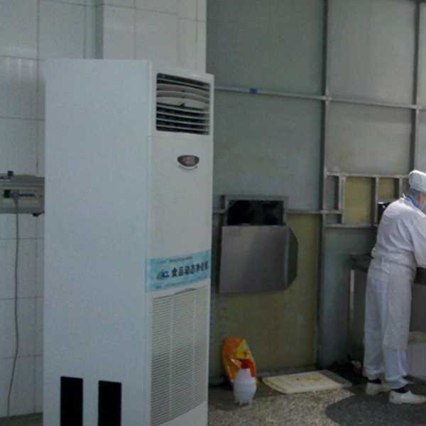 济南食品正负离子空气杀菌器